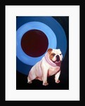 Bulldog in the middle of a bulls eye ring by Anonymous