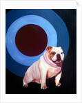 Bulldog in the middle of a bulls eye ring by Anonymous
