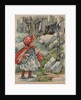 The Wolf Finds Little Red Riding Hood Book Illustration by Anonymous