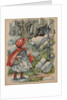 The Wolf Finds Little Red Riding Hood Book Illustration by Anonymous
