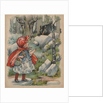 The Wolf Finds Little Red Riding Hood Book Illustration by Anonymous
