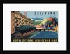 Hotel Osterreichischer Salzburg Luggage Label by Anonymous