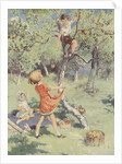 The Apple Orchard Book Illustration by Anonymous