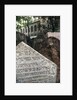 Old Jewish Cemetary by Anonymous