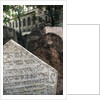 Old Jewish Cemetary by Anonymous