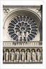 Saints on the Facade of Notre Dame Cathedral by Anonymous