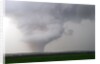 Tornado Touching Down in Texas by Anonymous