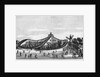Illustration of a Roller Coaster in Paris by Anonymous