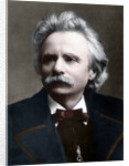 Edvard Grieg by Anonymous