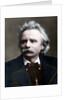 Edvard Grieg by Anonymous
