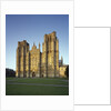 Wells Cathedral by Anonymous