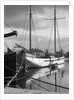 Galway-Boats in the Harbor by Anonymous
