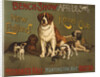 New England Kennel Club Bench Show Poster by Anonymous