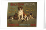 New England Kennel Club Bench Show Poster by Anonymous
