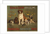 New England Kennel Club Bench Show Poster by Anonymous