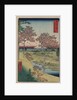 Sunset Hill, Meguro in the Eastern Capital by Ando Hiroshige