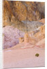 Colorful Badlands, Artist's Drive, Death Valley National Park by Anonymous