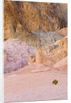 Colorful Badlands, Artist's Drive, Death Valley National Park by Anonymous
