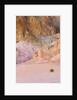 Colorful Badlands, Artist's Drive, Death Valley National Park by Anonymous