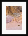 Colorful Badlands, Artist's Drive, Death Valley National Park by Anonymous