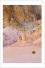 Colorful Badlands, Artist's Drive, Death Valley National Park by Anonymous