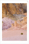 Colorful Badlands, Artist's Drive, Death Valley National Park by Anonymous