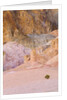 Colorful Badlands, Artist's Drive, Death Valley National Park by Anonymous