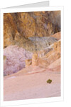 Colorful Badlands, Artist's Drive, Death Valley National Park by Anonymous