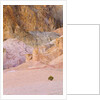 Colorful Badlands, Artist's Drive, Death Valley National Park by Anonymous