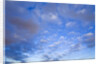 Cumulus Clouds Near Colorado River's Horseshoe Bend by Anonymous