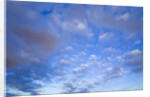 Cumulus Clouds Near Colorado River's Horseshoe Bend by Anonymous