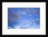 Cumulus Clouds Near Colorado River's Horseshoe Bend by Anonymous