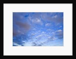 Cumulus Clouds Near Colorado River's Horseshoe Bend by Anonymous