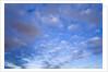 Cumulus Clouds Near Colorado River's Horseshoe Bend by Anonymous