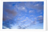 Cumulus Clouds Near Colorado River's Horseshoe Bend by Anonymous