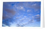 Cumulus Clouds Near Colorado River's Horseshoe Bend by Anonymous