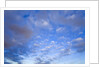 Cumulus Clouds Near Colorado River's Horseshoe Bend by Anonymous