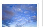 Cumulus Clouds Near Colorado River's Horseshoe Bend by Anonymous