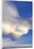 Lenticular Clouds Over Tundra by Anonymous