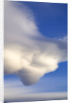 Lenticular Clouds Over Tundra by Anonymous