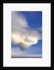 Lenticular Clouds Over Tundra by Anonymous