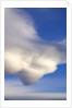 Lenticular Clouds Over Tundra by Anonymous