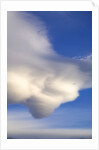 Lenticular Clouds Over Tundra by Anonymous