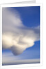 Lenticular Clouds Over Tundra by Anonymous