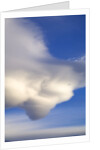 Lenticular Clouds Over Tundra by Anonymous