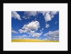 Barbed Wire Fence, Cumulus Clouds by Anonymous