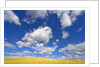 Barbed Wire Fence, Cumulus Clouds by Anonymous