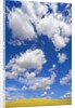 Beautiful Cumulus Clouds and Golden Prairie by Anonymous