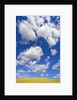 Beautiful Cumulus Clouds and Golden Prairie by Anonymous