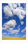 Beautiful Cumulus Clouds and Golden Prairie by Anonymous